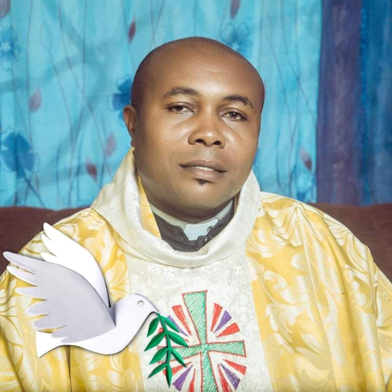 chinedu lwuajoku
